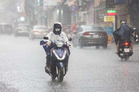 Thời tiết hôm nay 15-7: Áp thấp nhiệt đới gần bờ, cả nước mưa to- Ảnh 1. Hôm nay 15-7, thời tiết cả nước mưa to - Ảnh: PHƯƠNG QUYÊN