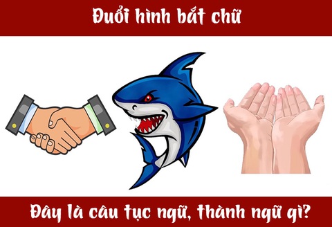 IQ cao có đoán được đây là câu tục ngữ, thành ngữ gì? (P16)- Ảnh 5. IQ cao có đoán được đây là câu tục ngữ, thành ngữ gì? (P16)- Ảnh 5.