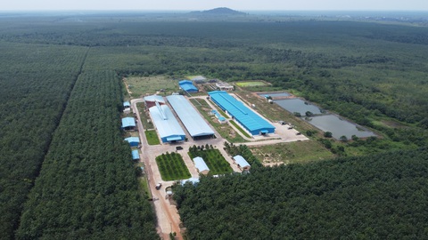 Cuộc phủ xanh cao su thần tốc và xây dựng các nhà máy chế biến mủ hiện đại của VRG tạo nên uy tín lớn cho nhà đầu tư Việt tại Campuchia - Ảnh: SƠN LÂM Cuộc phủ xanh cao su thần tốc và xây dựng các nhà máy chế biến mủ hiện đại của VRG tạo nên uy tín lớn cho nhà đầu tư Việt tại Campuchia - Ảnh: SƠN LÂM
