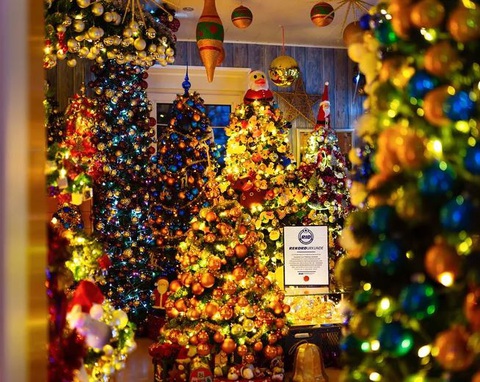 Ngôi nhà được trang trí 555 cây thông Noel của vợ chồng người Đức- Ảnh 6. Bộ sưu tập của ông Thomas đã được chứng thực bởi Viện Các kỷ lục của Đức.