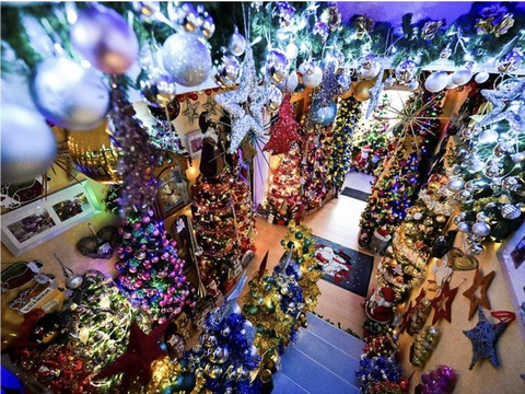 Ngôi nhà được trang trí 555 cây thông Noel của vợ chồng người Đức- Ảnh 1. Từ cửa chính đi vào đã chen chúc bởi hàng chục cây thông đủ mọi sắc màu, kích thước.
