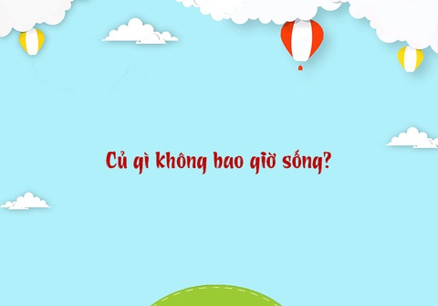 Câu đố hack não: Bao gì giúp ta an toàn?- Ảnh 3. Câu đố hack não: Bao gì giúp ta an toàn?- Ảnh 3.