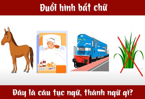 IQ cao có đoán được đây là câu tục ngữ, thành ngữ gì? (P17)- Ảnh 5. IQ cao có đoán được đây là câu tục ngữ, thành ngữ gì? (P17)- Ảnh 5.