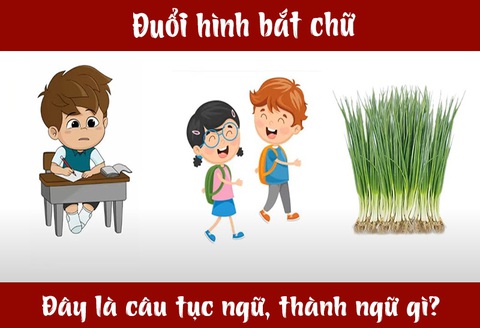 IQ cao có đoán được đây là câu tục ngữ, thành ngữ gì? (P18)- Ảnh 3. IQ cao có đoán được đây là câu tục ngữ, thành ngữ gì? (P18)- Ảnh 3.