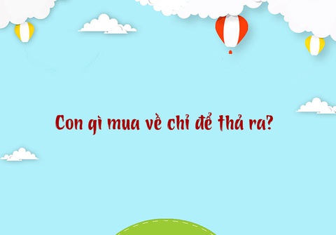 Câu đố hack não: Nơi nào có nhiều nước mà không hề ẩm ướt?- Ảnh 3. Câu đố hack não: Nơi nào có nhiều nước mà không hề ẩm ướt?- Ảnh 3.