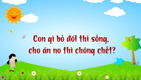 Câu đố hack não: Con gì chưa nấu đã chín?- Ảnh 5. Câu đố hack não: Con gì chưa nấu đã chín?- Ảnh 5.