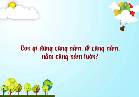 Câu đố hack não: Con gì chưa nấu đã chín?- Ảnh 7. Câu đố hack não: Con gì chưa nấu đã chín?- Ảnh 7.