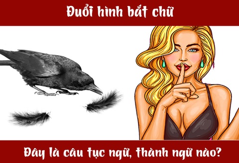 IQ cao có đoán được đây là câu tục ngữ, thành ngữ gì? (P19)- Ảnh 1. IQ cao có đoán được đây là câu tục ngữ, thành ngữ gì? (P19)- Ảnh 1.