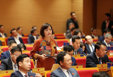 'Điều chỉnh quy hoạch tổng thể dự án 148 Giảng Võ' - Ảnh 1. Đại biểu HĐND TP Hà Nội đặt câu hỏi chất vấn - Ảnh: QUANG VIỄN