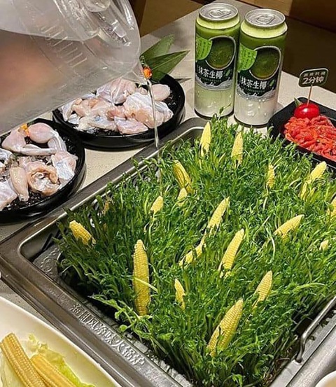 Ảnh vui 8-12: Lần đầu tiên thấy chú chó đi bán thanh long- Ảnh 2. Đi ăn lẩu mà tưởng làm ruộng.