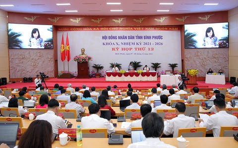Bình Phước ứng dụng trí tuệ nhân tạo nắm thông tin trên Facebook và YouTube- Ảnh 2. Đại biểu HĐND tỉnh Bình Phước khóa X đặt vấn đề chấn chỉnh tình trạng báo chí hóa tạp chí - Ảnh: AN BÌNH