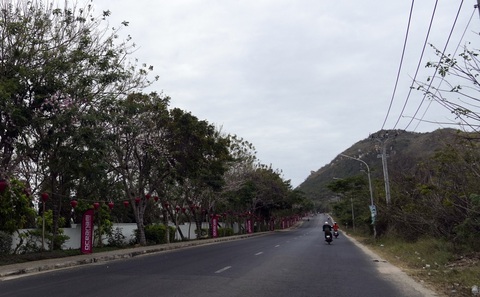 Đất Đỏ vươn mình nhờ nông thôn mới- Ảnh 4. Đường ven biển huyện Đất Đỏ - Ảnh: ĐÔNG HÀ