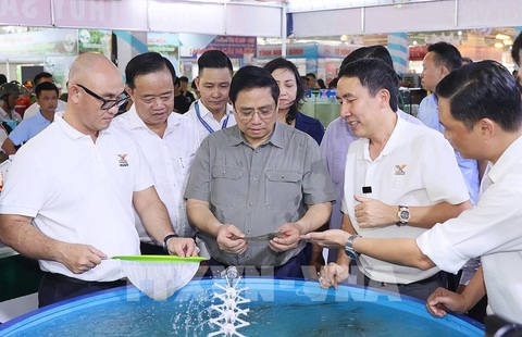 Thủ tướng: Cà Mau tập trung phát triển 3 thế mạnh- Ảnh 1. Thủ tướng Phạm Minh Chính tham quan gian trưng bày sản phẩm nuôi và chế biến tôm tại Festival tôm Cà Mau 2023 - Ảnh: TTXVN