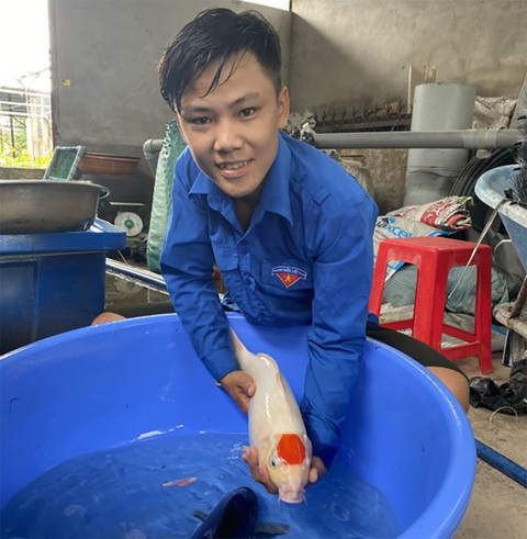Trại cá koi của anh nông dân trẻ - Ảnh 1. Trại cá koi của anh nông dân trẻ - Ảnh 1.