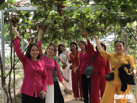Về Bảy Núi vượt dốc đá, đi xuyên rừng, chiều cắm trại ngắm hoàng hôn - Ảnh 5. Về Bảy Núi vượt dốc đá, đi xuyên rừng, chiều cắm trại ngắm hoàng hôn - Ảnh 5.