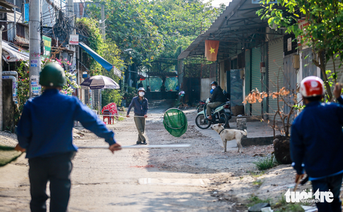 Thấy đội bắt chó thả rông, chủ ôm chó ‘tháo chạy’ - Ảnh 1. Thấy đội bắt chó thả rông, chủ ôm chó ‘tháo chạy’ - Ảnh 1.