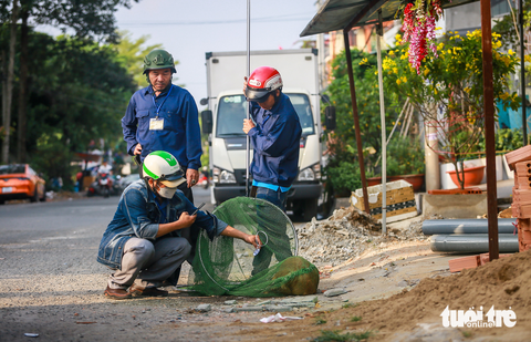 Thấy đội bắt chó thả rông, chủ ôm chó ‘tháo chạy’ - Ảnh 5. Thấy đội bắt chó thả rông, chủ ôm chó ‘tháo chạy’ - Ảnh 5.