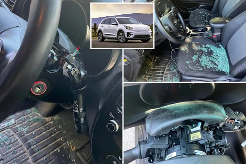 Hyundai và Kia bị... phá hoại trên TikTok như thế nào? - Ảnh 3. Hyundai và Kia bị... phá hoại trên TikTok như thế nào? - Ảnh 3.