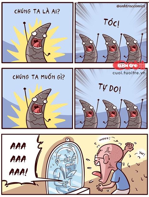 Tâm sự của một người ít tóc - Ảnh 1. Tâm sự của một người ít tóc - Ảnh 1.