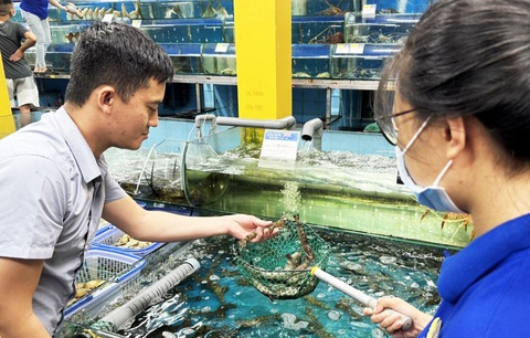 Thủy hải sản nuôi 'phủ sóng' - Ảnh 1. Ngày càng nhiều người lựa chọn mua hải sản nuôi - Ảnh: N.TRÍ