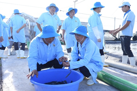 Tôm giống công nghệ cao của Việt Úc giúp bà con lợi nhuận cao hơn - Ảnh 7. Tôm giống công nghệ cao của Việt Úc giúp bà con lợi nhuận cao hơn - Ảnh 7.