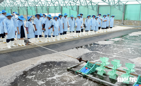 Nhiều doanh nghiệp sẵn sàng đầu tư lớn vào nuôi biển - Ảnh 1. Nhiều doanh nghiệp sẵn sàng đầu tư lớn vào nuôi biển - Ảnh 1.