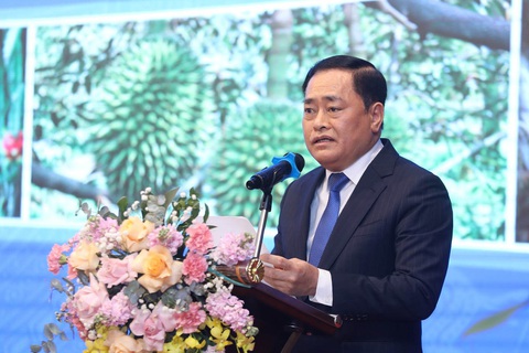 Thông quan 1.000 xe xuất, nhập khẩu với Trung Quốc mỗi ngày qua các cửa khẩu Lạng Sơn - Ảnh 1. Thông quan 1.000 xe xuất, nhập khẩu với Trung Quốc mỗi ngày qua các cửa khẩu Lạng Sơn - Ảnh 1.