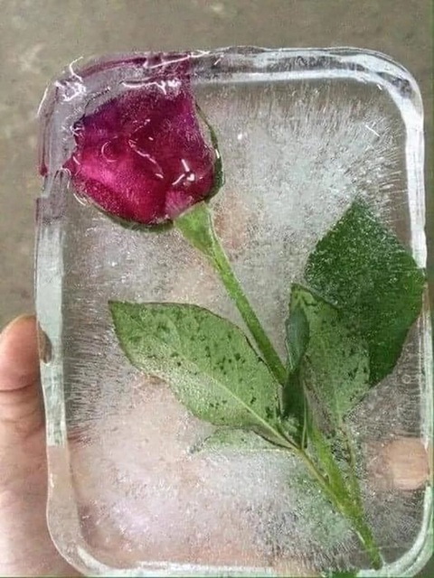 Chị em toàn cầu đồng loạt khoe chiến tích sau Valentine - Ảnh 8. Chị em toàn cầu đồng loạt khoe chiến tích sau Valentine - Ảnh 8.