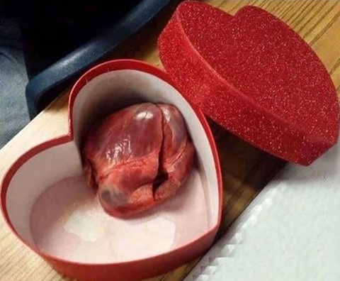Chị em toàn cầu đồng loạt khoe chiến tích sau Valentine - Ảnh 4. Chị em toàn cầu đồng loạt khoe chiến tích sau Valentine - Ảnh 4.
