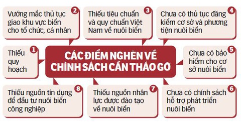 Giao biển cho dân cần làm ngay - Ảnh 2. Nguồn: Hiệp hội Nuôi biển - Dữ liệu: Chí Tuệ - Đồ họa: TẤN ĐẠT