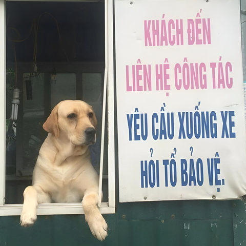Ảnh vui 16-2: Khách đến liên hệ công tác yêu cầu xuống xe! - Ảnh 1. Ảnh vui 16-2: Khách đến liên hệ công tác yêu cầu xuống xe! - Ảnh 1.