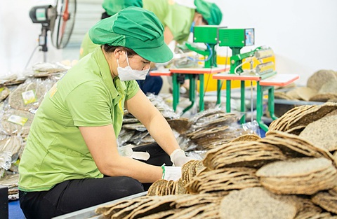 Đưa bánh đa vừng xuất ngoại - Ảnh 1. Công nhân đang đóng gói bánh đa tại xưởng sản xuất của hai bạn trẻ Nghệ An - Ảnh: DOÃN HÒA