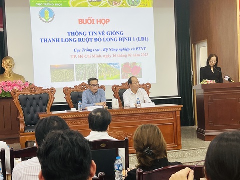 Thanh long ruột đỏ xuất sang Nhật: vẫn cãi tới cãi lui chuyện thu phí và bản quyền - Ảnh 1. Thanh long ruột đỏ xuất sang Nhật: vẫn cãi tới cãi lui chuyện thu phí và bản quyền - Ảnh 1.