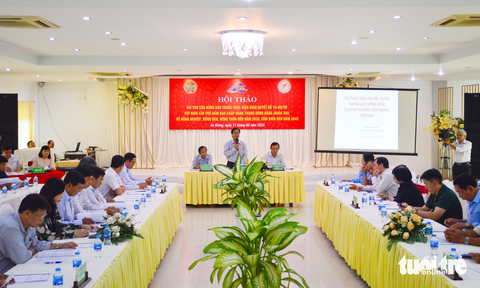 Nông dân ứng dụng blockchain vào đề án xây dựng 1 triệu ha lúa chất lượng cao - Ảnh 1. Nông dân ứng dụng blockchain vào đề án xây dựng 1 triệu ha lúa chất lượng cao - Ảnh 1.