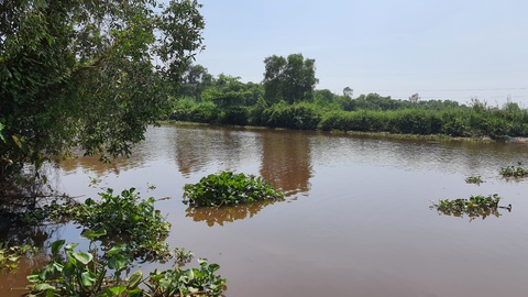 Điều tra vụ hai mẹ con chết dưới kênh ở Củ Chi - Ảnh 1. Điều tra vụ hai mẹ con chết dưới kênh ở Củ Chi - Ảnh 1.
