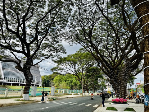 Buôn Ma Thuột sẽ có phố cà phê miễn phí - Ảnh 1. Buôn Ma Thuột sẽ có phố cà phê miễn phí - Ảnh 1.
