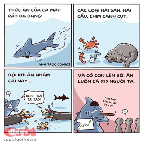 Cá mập ăn từ dưới nước lên trên cạn - Ảnh 1. Cá mập ăn từ dưới nước lên trên cạn - Ảnh 1.