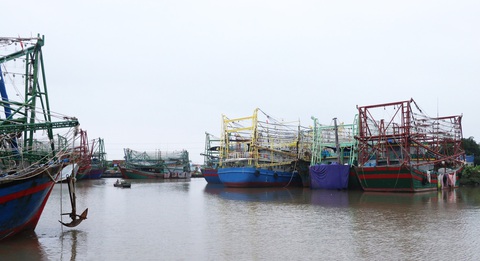 Tìm không ra thuyền viên có giấy tờ, hàng trăm tàu cá Hải Phòng nằm bờ - Ảnh 1. Tìm không ra thuyền viên có giấy tờ, hàng trăm tàu cá Hải Phòng nằm bờ - Ảnh 1.