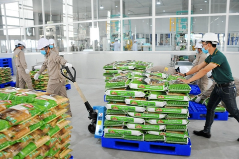 Gạo Việt Nam ngày càng được ưa chuộng tại Anh - Ảnh 1. Gạo Việt Nam ngày càng được ưa chuộng tại Anh - Ảnh 1.
