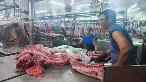 Tin tức sáng 3-2: Ngà voi nhập lậu gắn mác sừng bò; Ngộ độc rượu gia tăng - Ảnh 3. Tin tức sáng 3-2: Ngà voi nhập lậu gắn mác sừng bò; Ngộ độc rượu gia tăng - Ảnh 3.