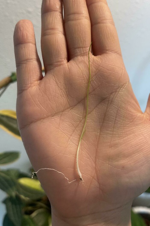 Dẹp ngay ý tưởng bỏ phố về rừng sau khi thấy loạt ảnh này - Ảnh 10. Dẹp ngay ý tưởng bỏ phố về rừng sau khi thấy loạt ảnh này - Ảnh 10.