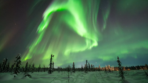 The intense aurora displays on Feb. 14, 2023, caught experienced aurora photographer Vincent Ledvina by surprise. (Image credit: Vincent Ledvina) Trước đó vào đêm 14-2-2023, nhiếp ảnh gia chuyên chụp cực quang Vincent Ledvina đã chụp được loạt ảnh cực quang ngoạn mục ở Alaska. "Một trong những đêm cực quang đẹp nhất đời tôi, có lẽ là tuyệt nhất", ông thốt lên - Ảnh: Vincent Ledvina/Space