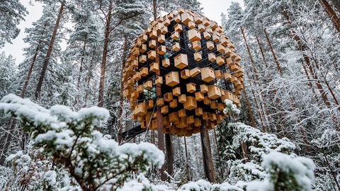 Những kỳ công kiến trúc được vinh danh tuyệt vời nhất của năm - Ảnh 1. Treehotel của Bjarke Ingels Group gồm 350 "chuồng chim" để đón khách là người và cả... chim - Ảnh: CNN