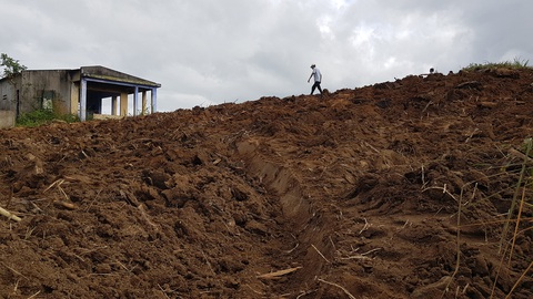 Vì sao dự án trồng rừng 270 ha ở Phú Yên 17 năm không động đậy? - Ảnh 2. Vì sao dự án trồng rừng 270 ha ở Phú Yên 17 năm không động đậy? - Ảnh 2.