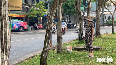 Nhức mắt cảnh dẫn chó ra công viên ị bậy - Ảnh 12. Nhức mắt cảnh dẫn chó ra công viên ị bậy - Ảnh 12.