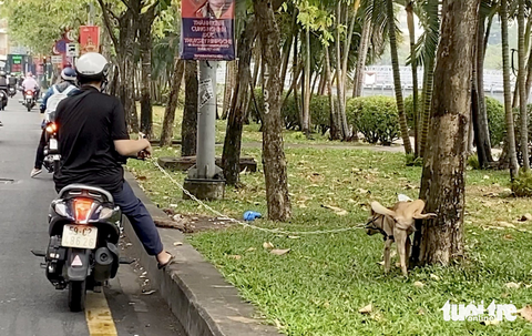 Nhức mắt cảnh dẫn chó ra công viên ị bậy - Ảnh 1. Nhức mắt cảnh dẫn chó ra công viên ị bậy - Ảnh 1.