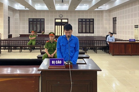 Lãnh 13 năm tù vì lập công ty ma để nhập ngà voi, sừng tê giác từ châu Phi về Việt Nam - Ảnh 1. Lãnh 13 năm tù vì lập công ty ma để nhập ngà voi, sừng tê giác từ châu Phi về Việt Nam - Ảnh 1.