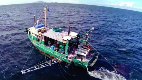 Sống sót kỳ diệu dưới lưỡi hái tử thần - Kỳ 2: Lênh đênh trên vùng biển cá mập hổ - Ảnh 4. Tàu đánh bắt hải sâm FV Dianne Ảnh: Cảnh sát Queensland