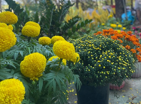 Chỉ là, tôi lớn lên, nhưng nội thì già đi - Ảnh 5. Chỉ là, tôi lớn lên, nhưng nội thì già đi - Ảnh 5.