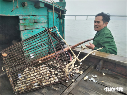Hàng chục tấn ngao chết trắng trên bãi biển Cồn Vạn - Ảnh 1. Hàng chục tấn ngao chết trắng trên bãi biển Cồn Vạn - Ảnh 1.